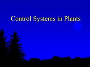 Control Systems in Plants Plant Hormones Coordinates growth
