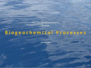 Msc marine biogeochemistry
