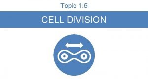 Topic 1 6 CELL DIVISION Topic Outline Cell