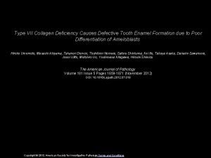 Type VII Collagen Deficiency Causes Defective Tooth Enamel
