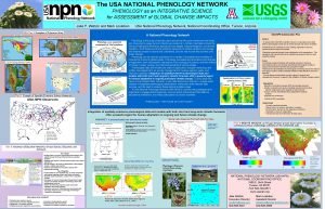 Usa national phenology network Usa national phenology network