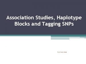 Association Studies Haplotype Blocks and Tagging SNPs Prof
