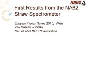 First Results from the NA 62 Straw Spectrometer