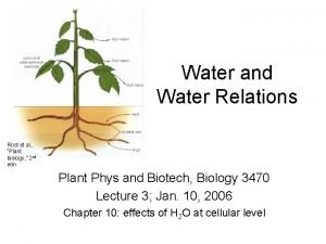 Water and Water Relations Rost et al Plant