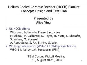 Helium Cooled Ceramic Breeder HCCB Blanket Concept Design