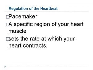 Regulation of the Heartbeat Pacemaker A specific region