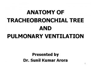 ANATOMY OF TRACHEOBRONCHIAL TREE AND PULMONARY VENTILATION Presented