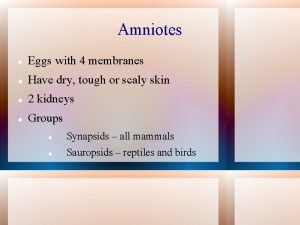 Amniotes Eggs with 4 membranes Have dry tough