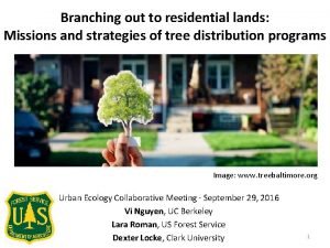 Branching out to residential lands Missions and strategies