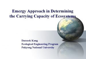 Emergy Approach in Determining the Carrying Capacity of