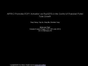 At PRK 2 Promotes ROP 1 Activation via
