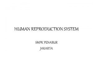 HUMAN REPRODUCTION SYSTEM SMPK PENABUR JAKARTA CHARACTERISTIC OF
