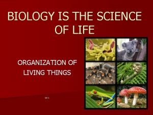 Organization of life biology