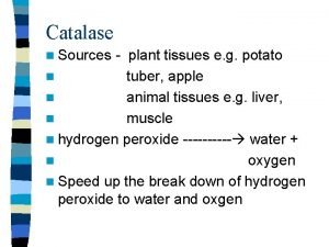 Source of trypsin