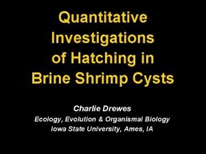 Quantitative Investigations of Hatching in Brine Shrimp Cysts