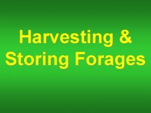Harvesting Storing Forages What factors determine time to