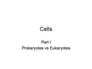 Which part of the cell contains genetic material