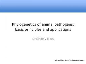 Phylogenetics of animal pathogens basic principles and applications