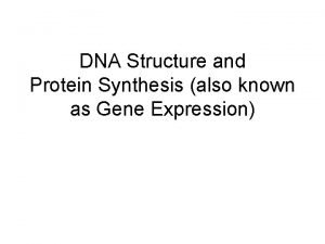 DNA Structure and Protein Synthesis also known as