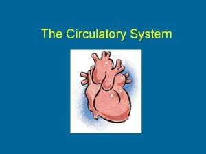 Circulatory