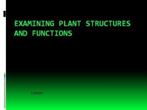 EXAMINING PLANT STRUCTURES AND FUNCTIONS Lesson Student Learning
