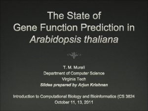 The State of Gene Function Prediction in Arabidopsis