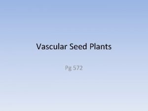 Vascular Seed Plants Pg 572 Mobile Reproduction Seeds