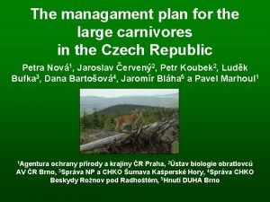 The managament plan for the large carnivores in