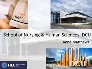 Anne matthews dcu Anne matthews dcu