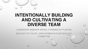 INTENTIONALLY BUILDING AND CULTIVATING A DIVERSE TEAM LEADERSHIP