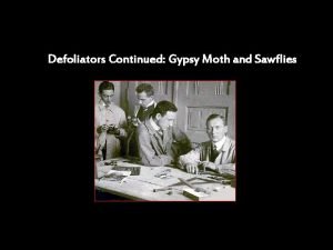 Defoliators Continued Gypsy Moth and Sawflies The gypsy