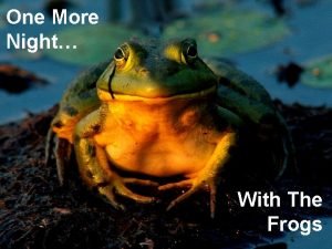 One more night with the frogs