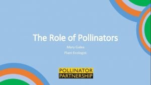 Role of pollinators