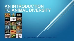 AN INTRODUCTION TO ANIMAL DIVERSITY Turner College Career
