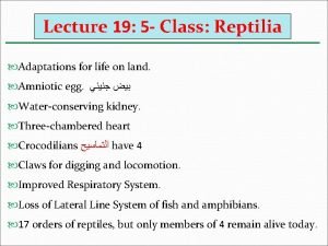 Lecture 19 5 Class Reptilia Adaptations for life