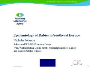Rabies europe