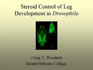 Steroid Control of Leg Development in Drosophila Craig