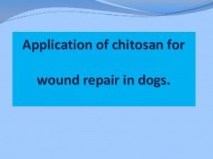 Chitosan for dogs