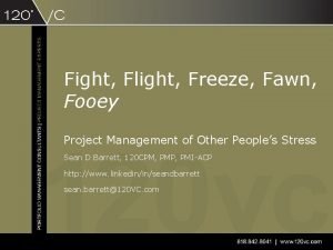 Fight flight freeze fawn