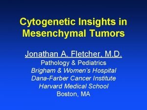 Cytogenetic Insights in Mesenchymal Tumors Jonathan A Fletcher