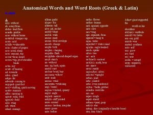 Anatomical root words