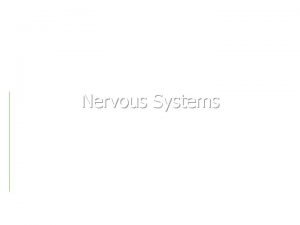 Nervous Systems Nervous Systems Neurons Neural Signals Action