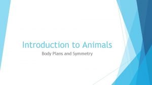 Animal body plans worksheet