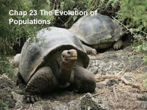 Chap 23 The Evolution of Populations Evolution Reminders