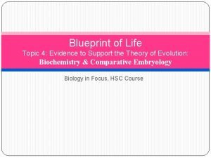 Life blueprint meaning
