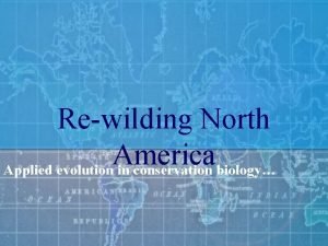 Rewilding north america