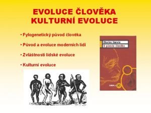 EVOLUCE LOVKA KULTURN EVOLUCE Fylogenetick pvod lovka Pvod