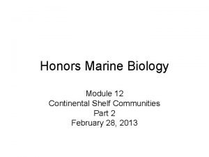 Honors Marine Biology Module 12 Continental Shelf Communities