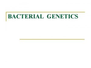 BACTERIAL GENETICS Key Words n n n Genetics