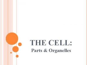 THE CELL Parts Organelles OBJECTIVES To become familiar